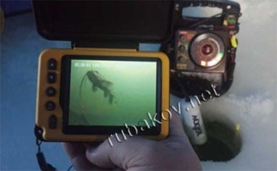 Как выбрать подводную видеокамеру для рыбалки?