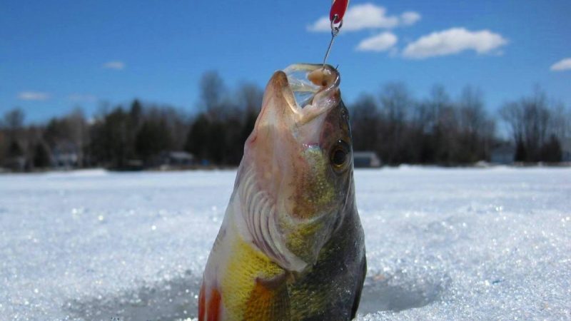 Секреты успешной зимней рыбалки