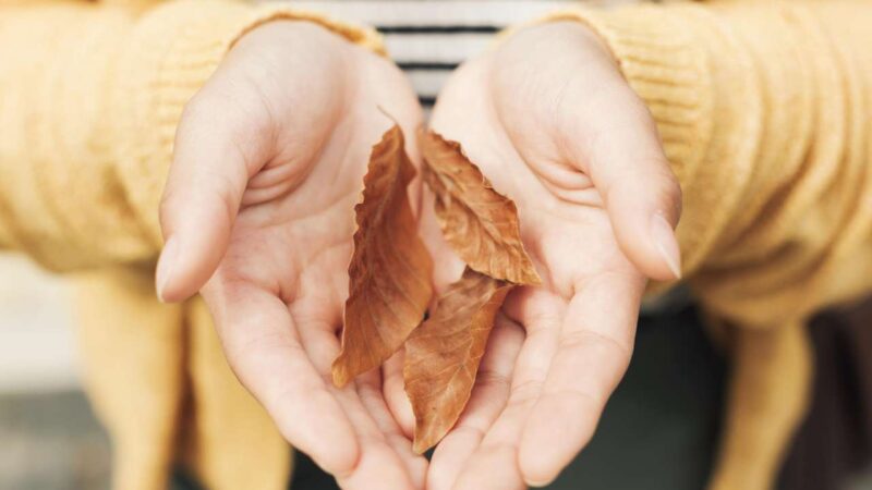 Как помочь коже рук в осенний период: советы косметолога