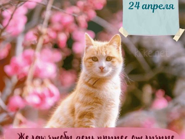 Картинки Доброе утро 24 апреля