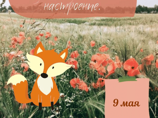 Картинки Доброе утро 9 мая