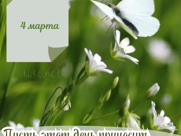 Картинки Доброе утро 4 марта: Запоминающиеся открытки