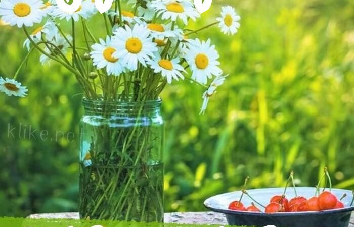 Картинки Доброе июньское утро воскресенья