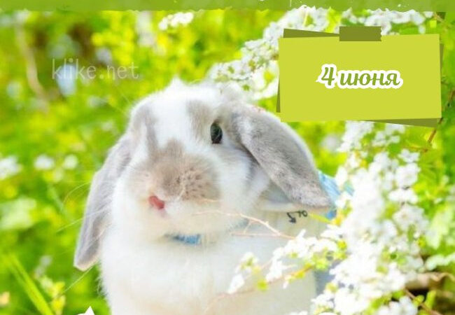 Картинки на 4 июня с пожеланиями