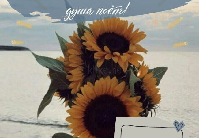 Картинки на 3 августа с пожеланиями