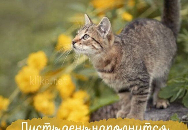 Картинки на 6 августа с пожеланиями