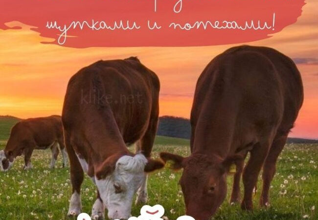 Картинки на 7 августа с пожеланиями