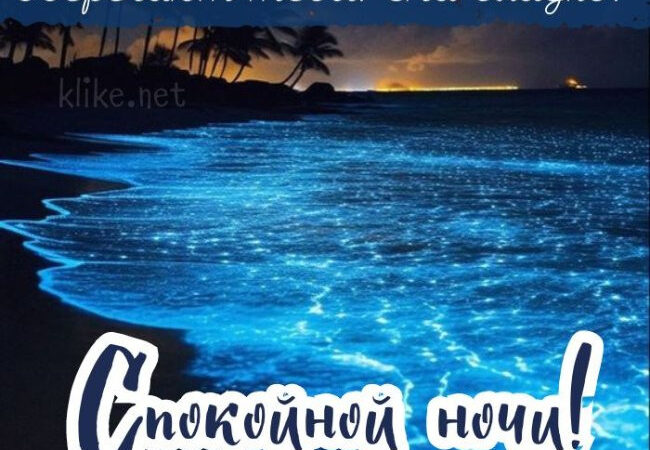 Картинки с пожеланиями на 24 августа: Незабываемые открытки