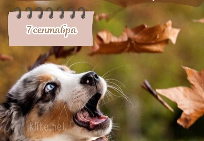 Картинки на 7 сентября с пожеланиями