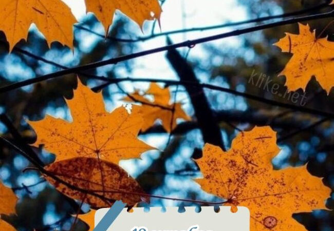 Картинки на 12 октября с пожеланиями