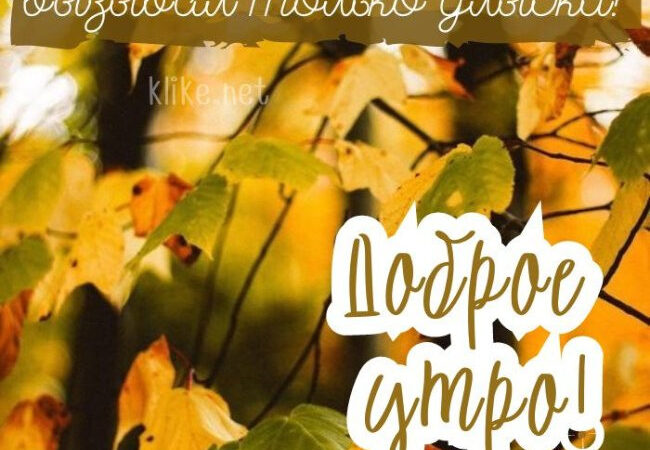 Картинки с пожеланиями на 24 октября: Успешные открытки