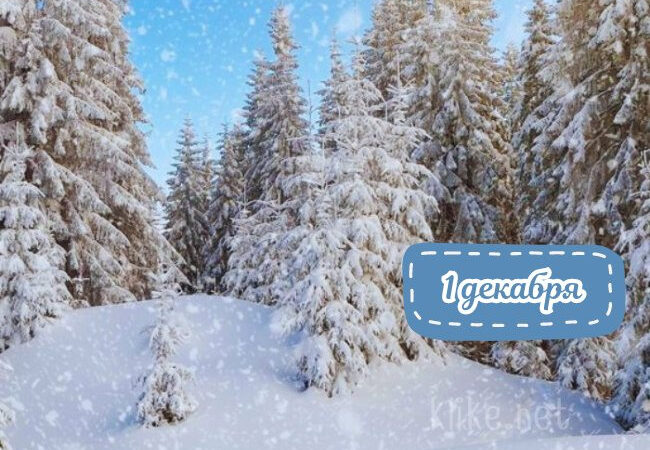 Картинки Доброе утро 1 декабря