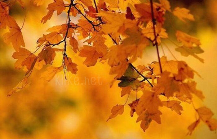 Картинки Доброе октябрьское утро среды