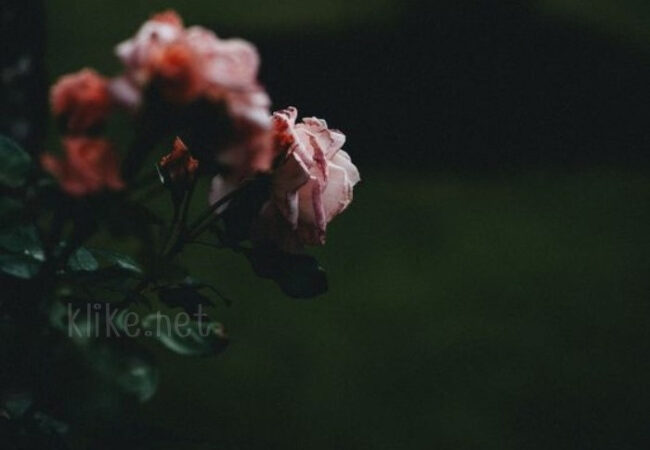 Картинки на 19 марта с пожеланиями