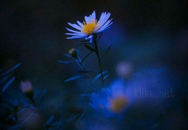 Картинки с пожеланиями на 10 апреля: Насыщенные открытки