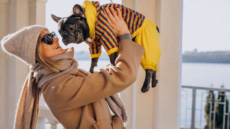 Одежда для собак: нужен ли питомцу гардероб