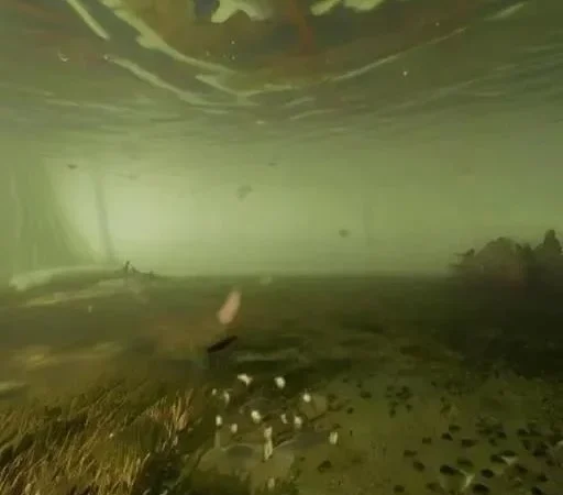 Почему карась капризничает летом: Обзор основных причин