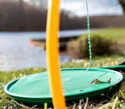 Сложности весенней рыбалки на карася: руководство для начинающих и опытных рыболовов