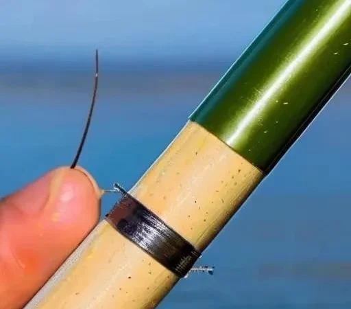 Летняя охота на плотву: раскрываем секреты успешной рыбалки