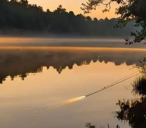 Ошибки при ловле карпа на лету: Подробный план статьи