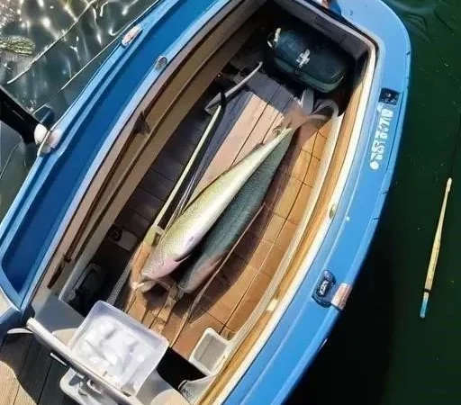 Приглашение на большую воду: Почему ловля щуки с лодки – это больше, чем просто рыбалка