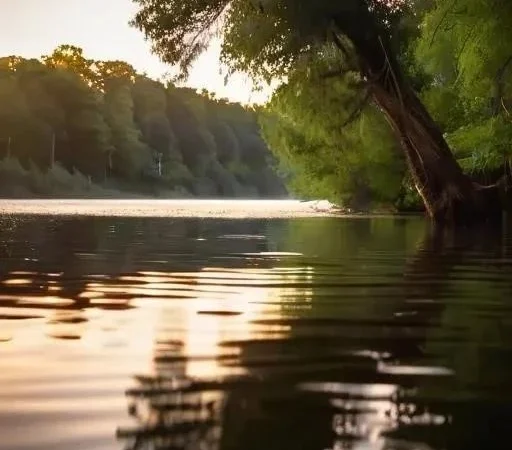 Основные ошибки начинающих спиннингистов при использовании искусственных приманок