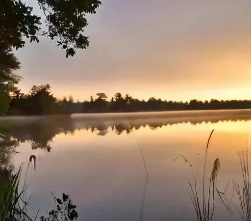 Щука – желанный трофей для многих рыбаков, и правильная подготовка играет ключевую роль в успехе