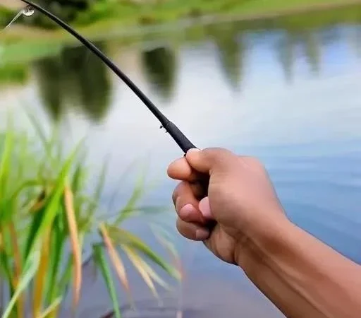 Основные ошибки при ловле щуки на воблеры: избегаем провалов на рыбалке