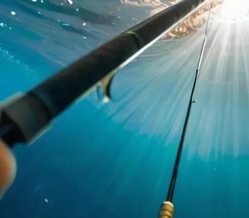 С чего Начинается Удачная Рыбалка: Обзор Материалов для Удилищ