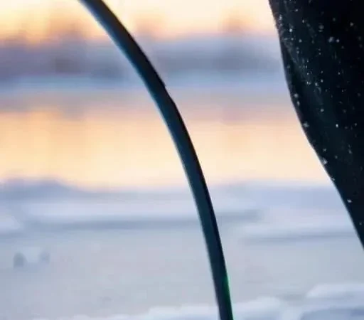 Зимняя рыбалка: почему карась ― отличный выбор