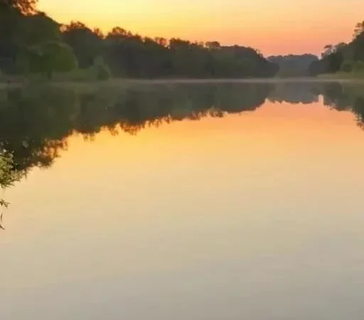 Первые шаги в карпфишинге: чего стоит избегать?