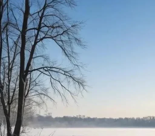 Зимняя рыбалка: Путь к уверенному выбору