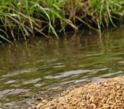 Разбор типичных ошибок и пути их решения