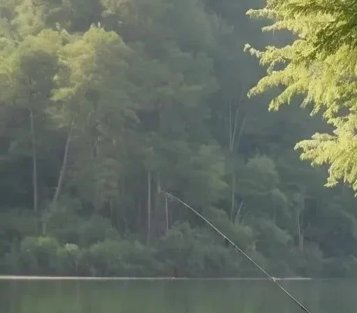 Плотва в озере: Когда рыбалка бросает вызов