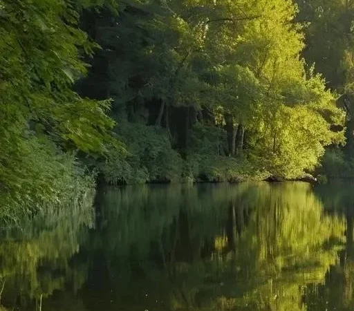 Ловля карася на поплавочную удочку: советы и секреты