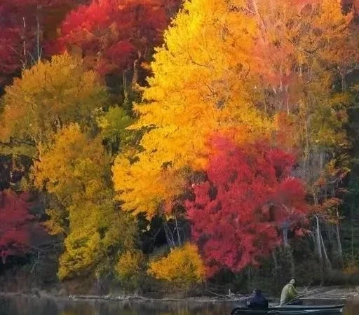 Осень зовет: Почему рыбалка в сентябре‚ октябре и ноябре – особенное удовольствие