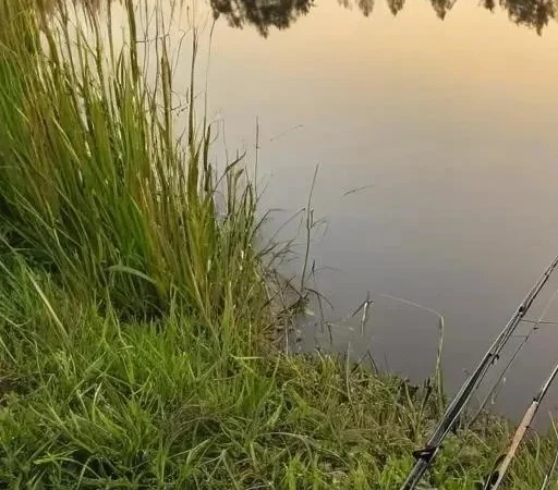 Типичные ошибки фидериста при ловле леща