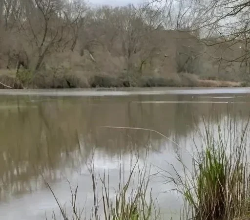 Погружение в мир приманок: От теории к практике