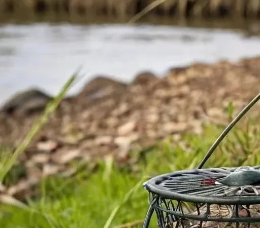 Фидерная оснастка для охоты на линя: Секреты успешного монтажа