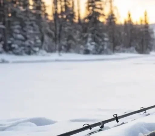 Ошибки при использовании зимних удочек: Путь к успешной рыбалке