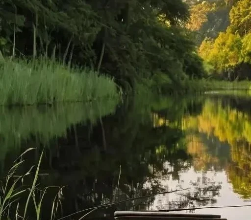 Ловля щуки на живца: полное руководство для начинающих и опытных рыболовов