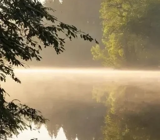 Первые шаги к трофейному улову: С чего начать фидерную ловлю карпа?