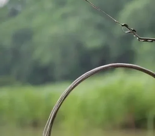 Ловля сома на донку: преимущества, снасти и техника