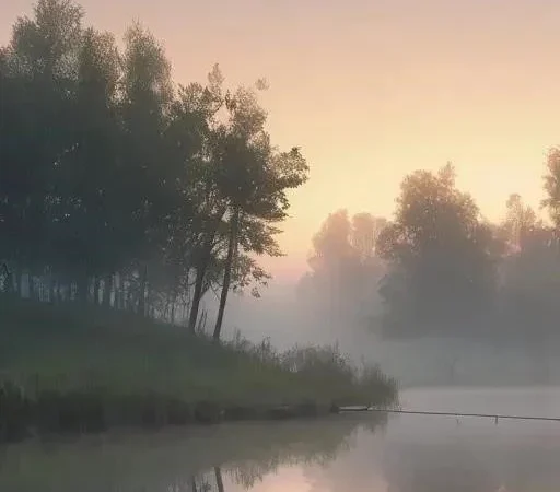 Погружение в мир карпфишинга: от традиций к инновациям