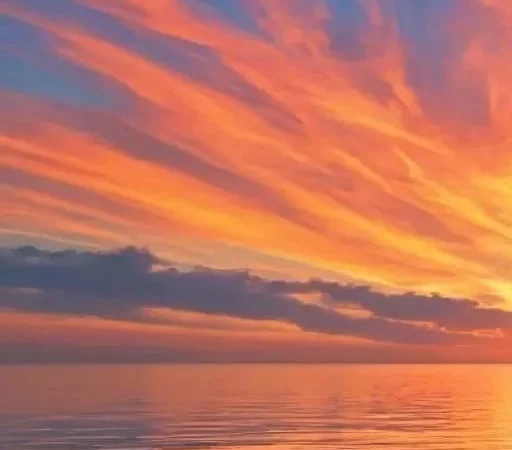 Изменение ареала и миграция рыб: Как температура воды перекраивает карту рыболовных угодий