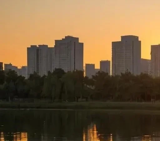 Адаптация Карася к Городской Среде: Выживание в Условиях Урбанизации