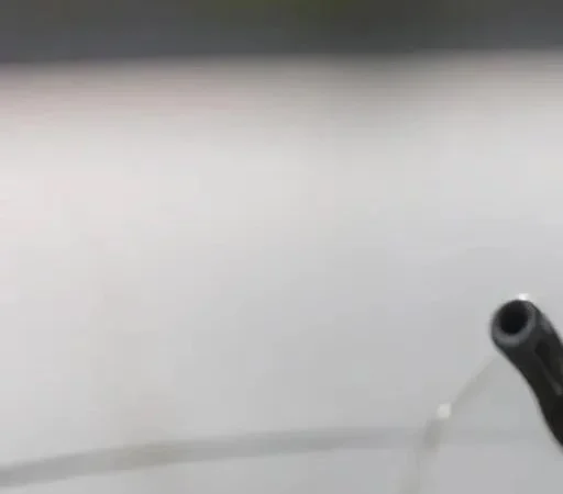 Первые шаги в спиннинге: как не утонуть в море терминов и снастей․