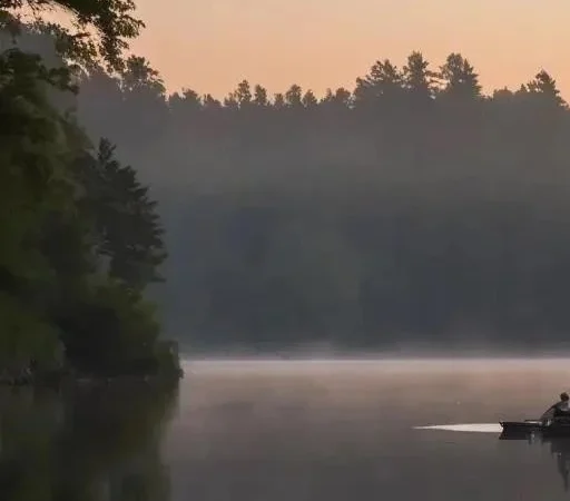 Выбор эхолота: Путеводитель для успешной рыбалки