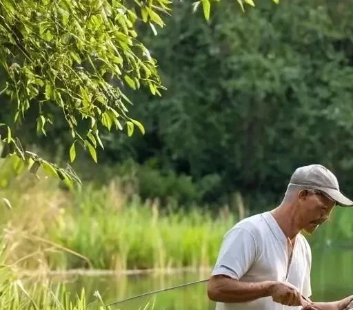 Ультралайт в фидерной ловле: Секреты успеха