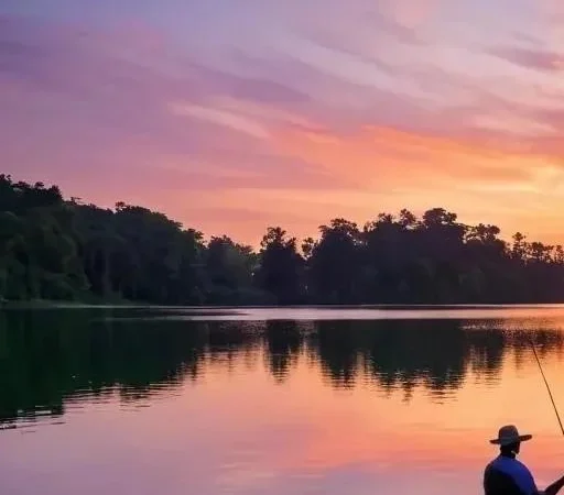 Современное рыболовство: Цифровые помощники в подготовке к рыбалке